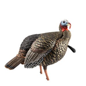 Avian-X
