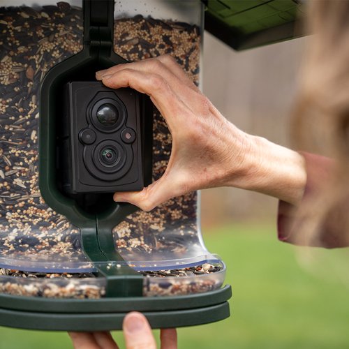 FEATHERSNAP SCOUT BIRDFEEDER - WI-FI SOLAR POWERED W/ CAMERA - Image 2
