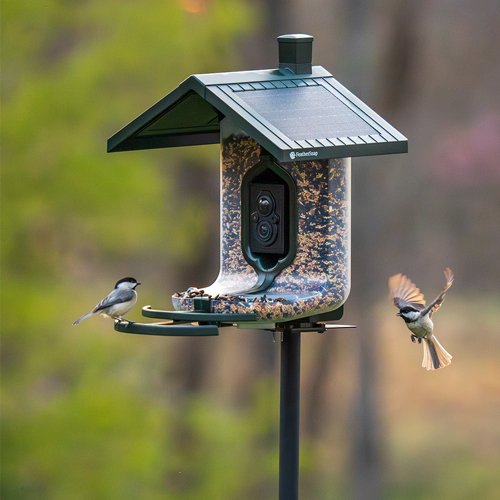 FEATHERSNAP SCOUT BIRDFEEDER - WI-FI SOLAR POWERED W/ CAMERA - Image 4